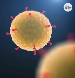 Here is a list of resources addressing the economic impact of coronavirus on the cultural sector