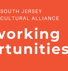 Organization Networking Opportunities